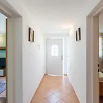 House With A Swimming Pool Radmani, - 16440 別荘 ポレッチ